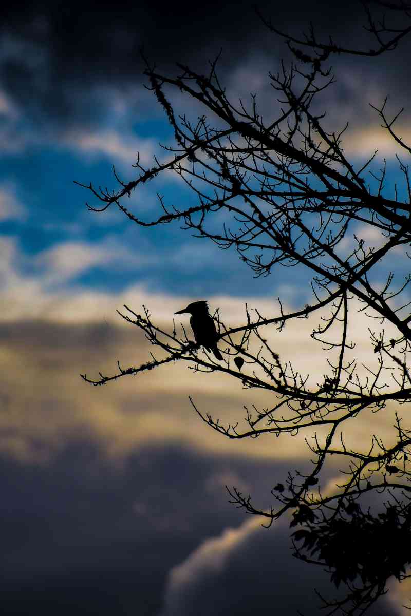 Photography by LeeAnn Helper