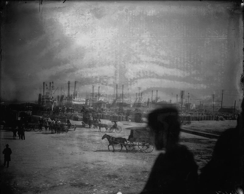 River Front (Landing of Rex). George François Mugnier, c. 1890. Collodion on glass plate, 8 x 10 inches. Louisiana State Museum 09813.0153.