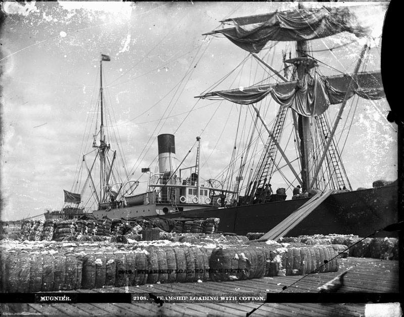 S.S. Carlton of Liverpool Loaded with Cotton. George François Mugnier, c. 1898. Collodion on glass plate, 8 x 10 inches. Louisiana State Museum 09813.0174.