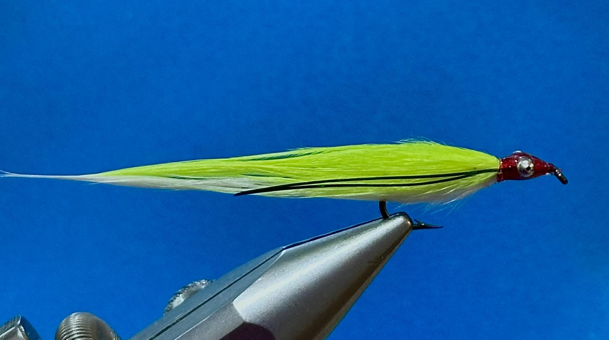 Close-up of a bright chartreuse and white fishing fly held in a metal fly-tying vise against a blue background. The fly has a red head, silver eye detail, black accent lines, and a hook extending beneath the body.