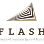 small_flash-logo.png