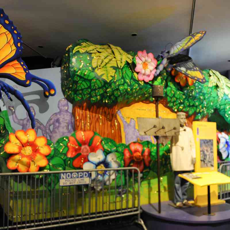 It's Carnival Time in Louisiana It's Carnival Time in Louisiana