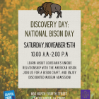 Flyer for Discovery Day: National Bison Day at Capitol Park Museum. The background is a field of yellow wildflowers with a drawing of a bison above the event details. Text reads: “Discovery Day: National Bison Day. Saturday, November 15th, 10:00 a.m.–2:00 p.m. Learn about Louisiana’s unique relationship with the American bison, join us for a bison craft, and enjoy discounted museum admission!” At the bottom, location is listed: 660 North Fourth Street, Baton Rouge, LA 70802. Logos for Capitol Park Friends a