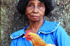 Clementine Hunter John Guillet, ca. 1974. 1998.076.02