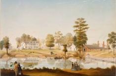 Olivier Plantation, Orange Grove. Marie Adrien Persac, 1861. Gouache and collage on paper, 15 ¾ x 22 inches. Loan of Mrs. Rene T. Beauregard, Louisiana State Museum 07155.