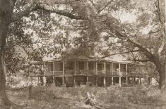 Elmwood Plantation. Robert William Tebbs, 1926. Vintage gelatin silver print, 8 x 10 inches. Louisiana State Museum 1956.087.331.