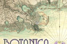 Botanica: Gardens, Landscapes, and Plant Medicines in South Louisiana 