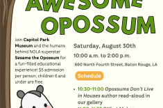 Discovery Day at Capitol Park Museum: Awesome Opossum