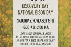 Flyer for Discovery Day: National Bison Day at Capitol Park Museum. The background is a field of yellow wildflowers with a drawing of a bison above the event details. Text reads: “Discovery Day: National Bison Day. Saturday, November 15th, 10:00 a.m.–2:00 p.m. Learn about Louisiana’s unique relationship with the American bison, join us for a bison craft, and enjoy discounted museum admission!” At the bottom, location is listed: 660 North Fourth Street, Baton Rouge, LA 70802. Logos for Capitol Park Friends a