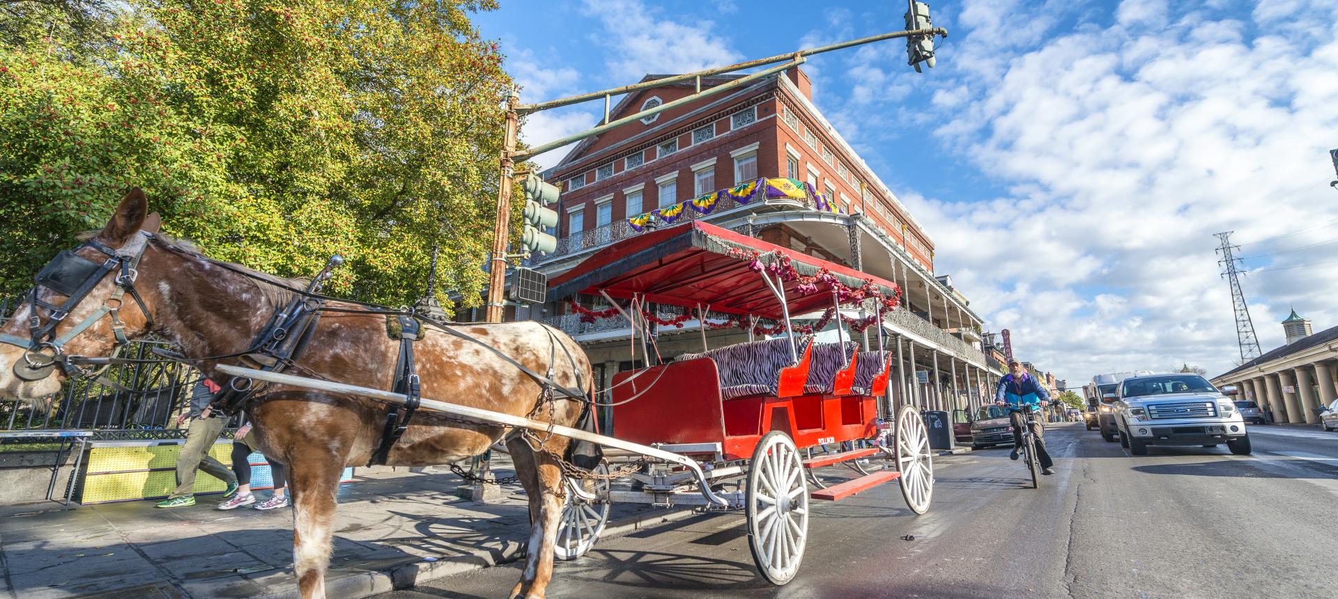 Carriage rolls along Decatur street outside the Lower Pontalba