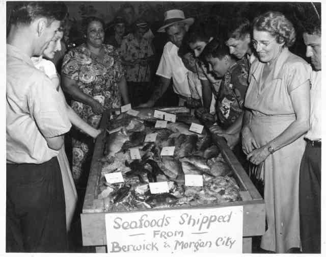 From Berwick Bay to Étouffée: Shrimping in Louisiana From Berwick Bay to Étouffée: Shrimping in Louisiana