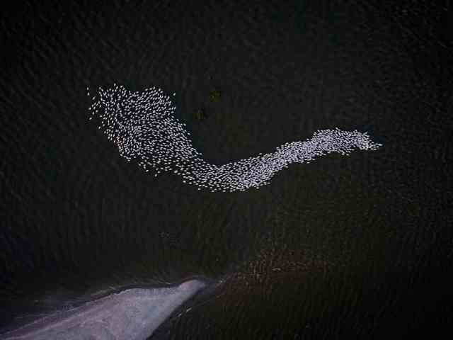 Louisiana From Above Exhibition Program Louisiana From Above Exhibition Program