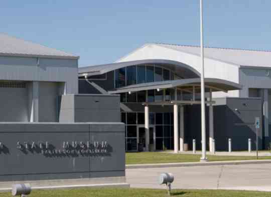 Wedell-Williams Aviation and Cypress Sawmill Museum 